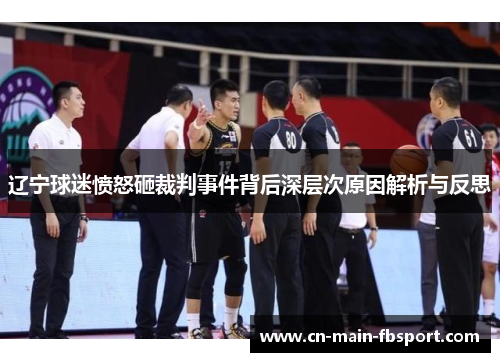 辽宁球迷愤怒砸裁判事件背后深层次原因解析与反思