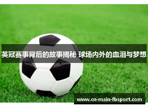 英冠赛事背后的故事揭秘 球场内外的血泪与梦想