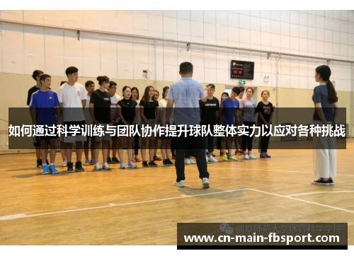如何通过科学训练与团队协作提升球队整体实力以应对各种挑战