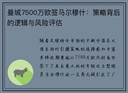 曼城7500万欧签马尔穆什：策略背后的逻辑与风险评估