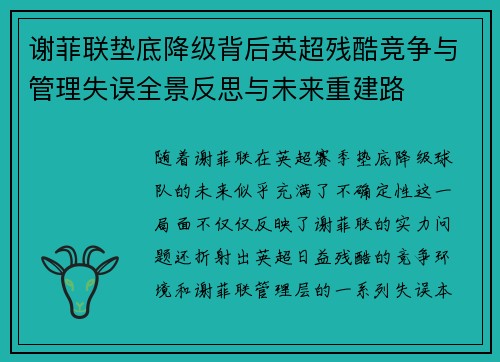 谢菲联垫底降级背后英超残酷竞争与管理失误全景反思与未来重建路 谢菲联垫底降级背后英超残酷竞争与管理失误全景反思与未来重建路